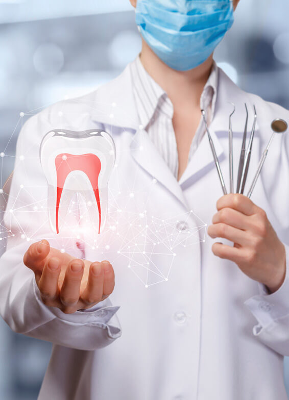 Dentist in white coat holding tooth model, wearing surgical mask in clinical setting.